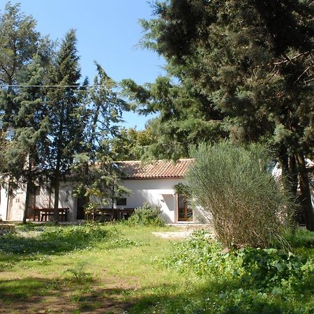 B&B Parco del Lamione Gioia Del Colle Esterno foto