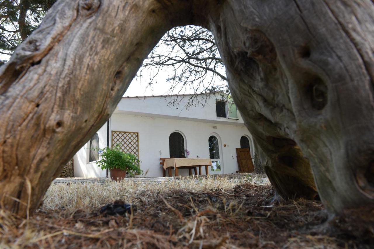 B&B Parco del Lamione Gioia Del Colle Esterno foto